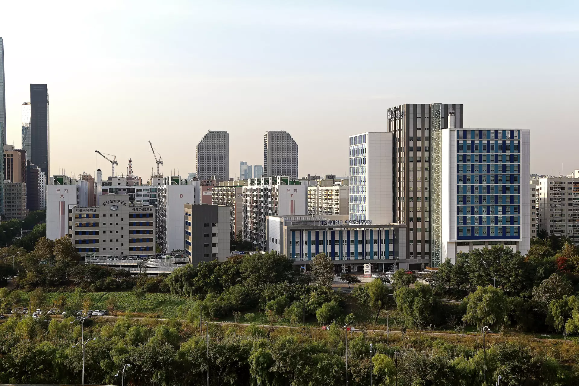 여의도 성모병원-2